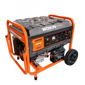 Wokin Gasoline Generator, 5000W